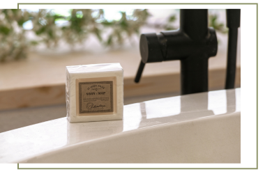 Les différentes utilisations du savon de Marseille : astuces pour l'entretien de la maison, la lessive, le soin des anim